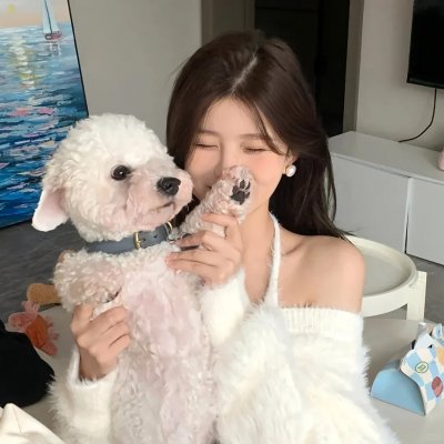 森林随处可见